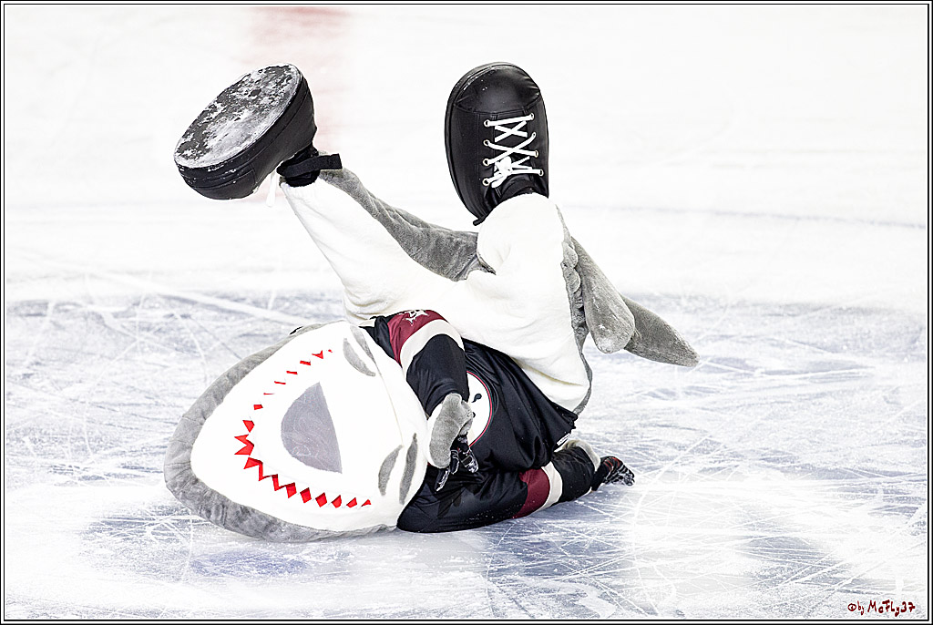 PENNY DEL;  Koelner Haie - Grizzlys Wolfsburg; Koeln, 29.01.2021